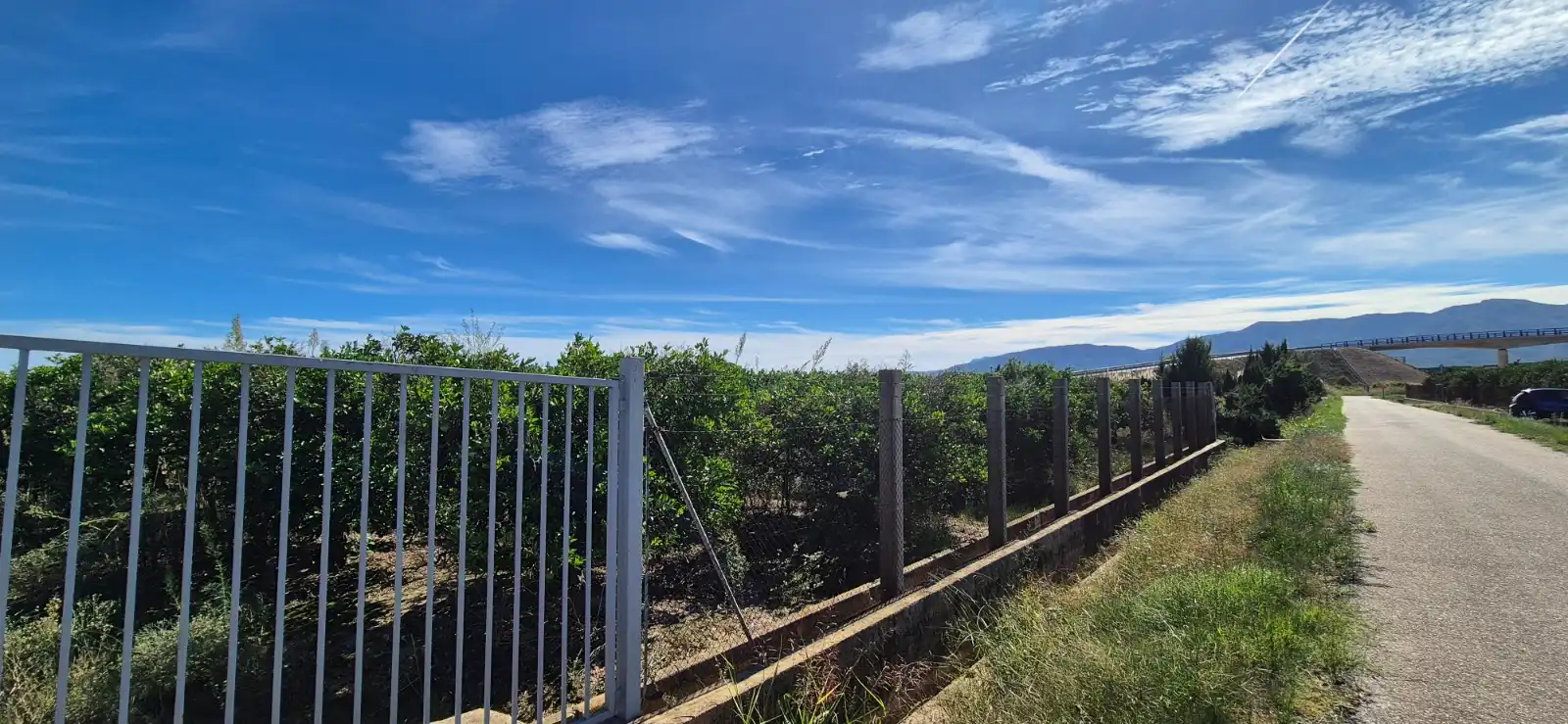 Terrain rustique à vendre à Segador de Samuel, imagen 2