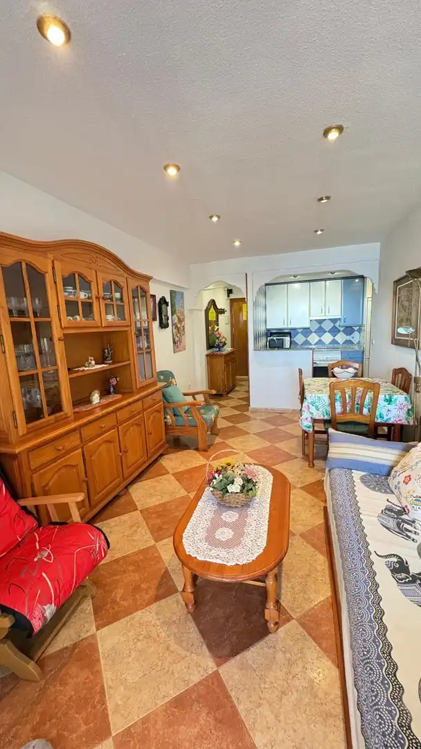 Wohnung mit Garten zum Verkauf in Avenida Madrid, imagen 3