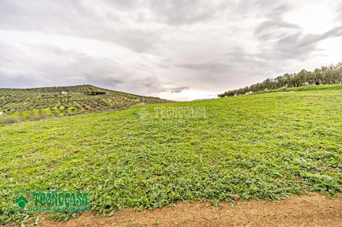 Rural land for sale in Alozaina