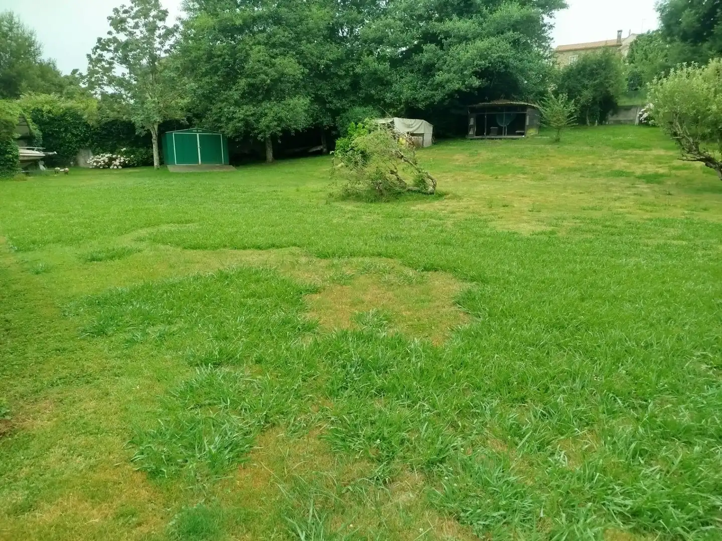 Terrenys i solars en venda a Bergondo