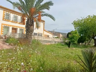 Maison avec jardin à vendre à N/A