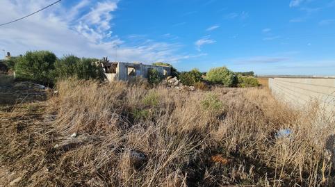 Photo 4 of Land for sale in  Camino Molino de Cafe, La Soledad, Cádiz