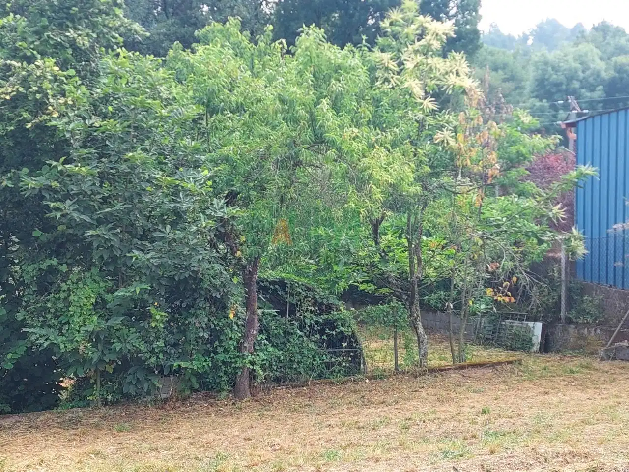 Terreni e lotti in vendita a O Pereiro de Aguiar, imagen 2