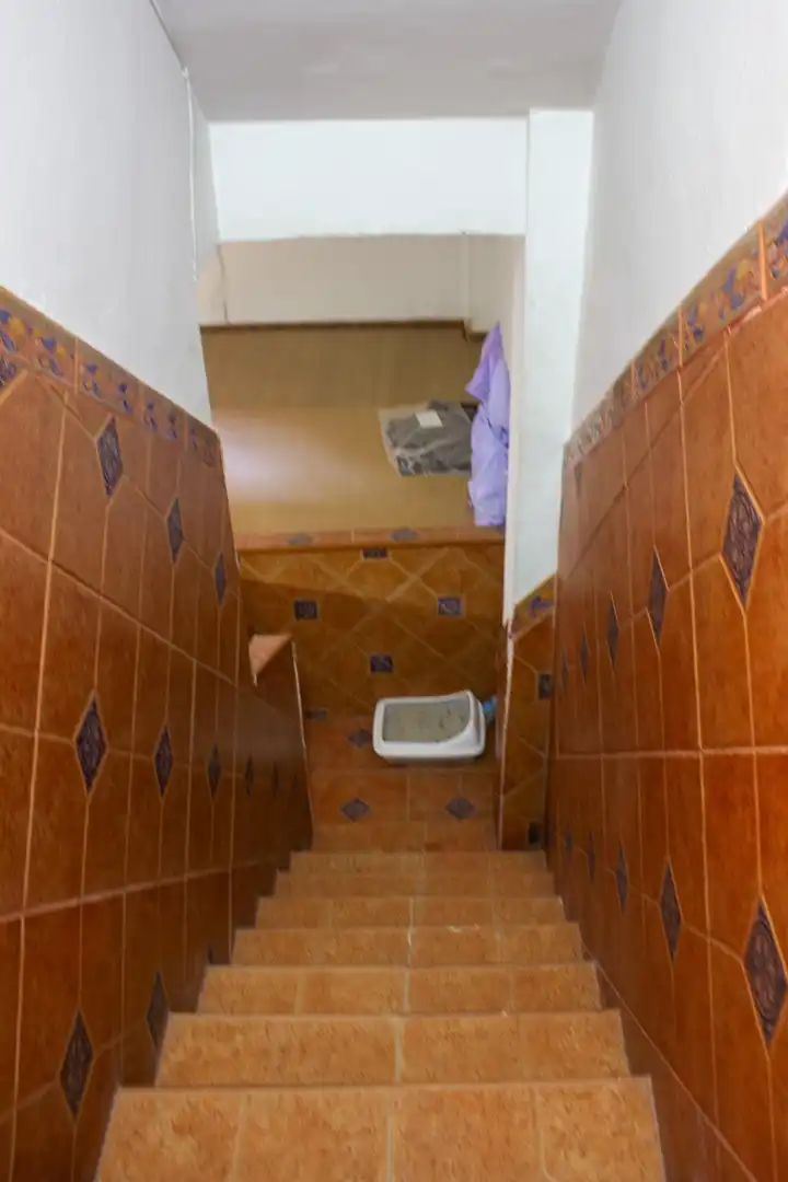 Bathroom of Detached homes for sale in Jerez de la Frontera  with Air Conditioner and Storage room