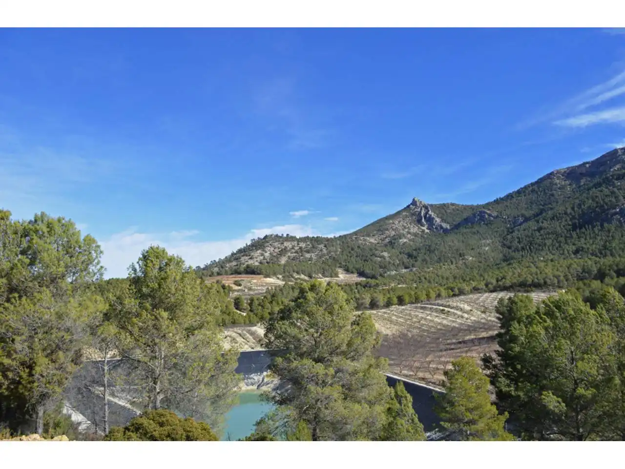 Lands and plots for sale in Pasaje Rincones y Sierra Espuña, imagen 9