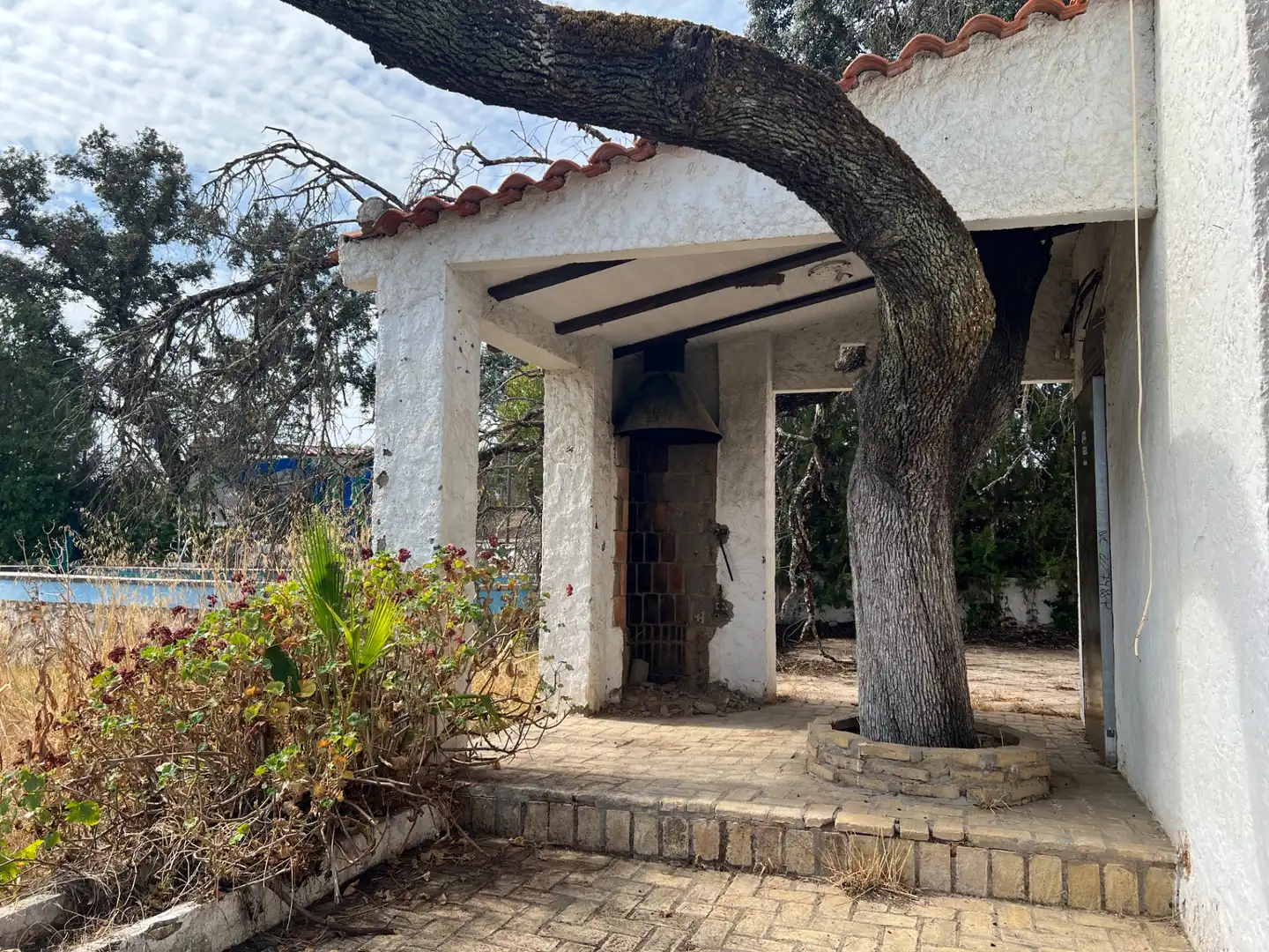 Chalet con piscina en venta en Calle Utrera 9, imagen 4