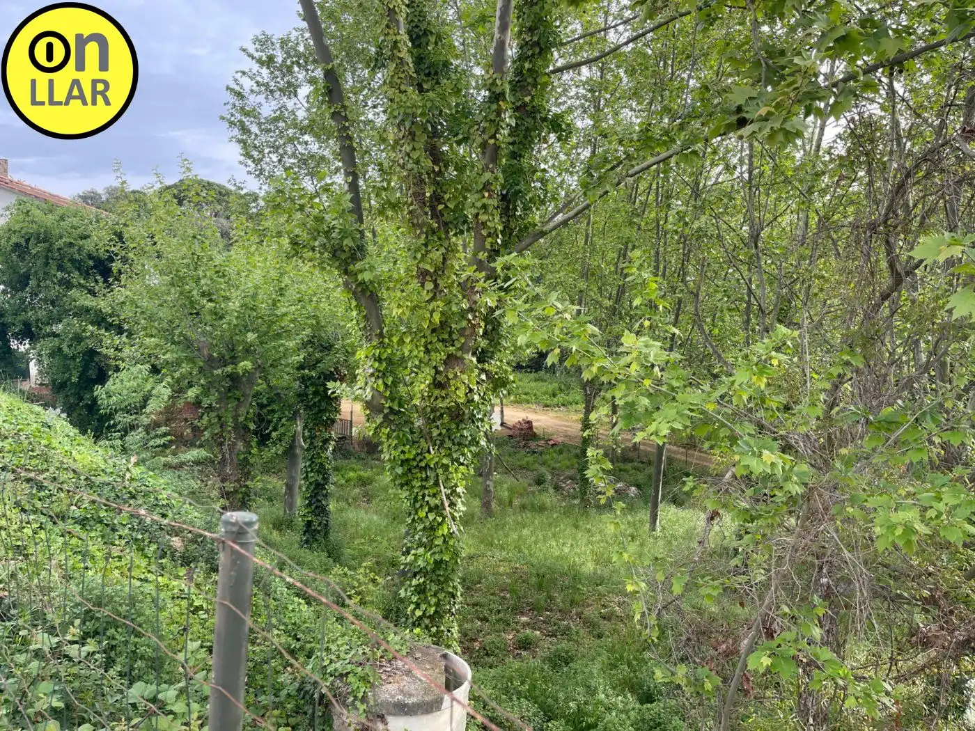 Residential land for sale in Calle Alzina, imagen 6