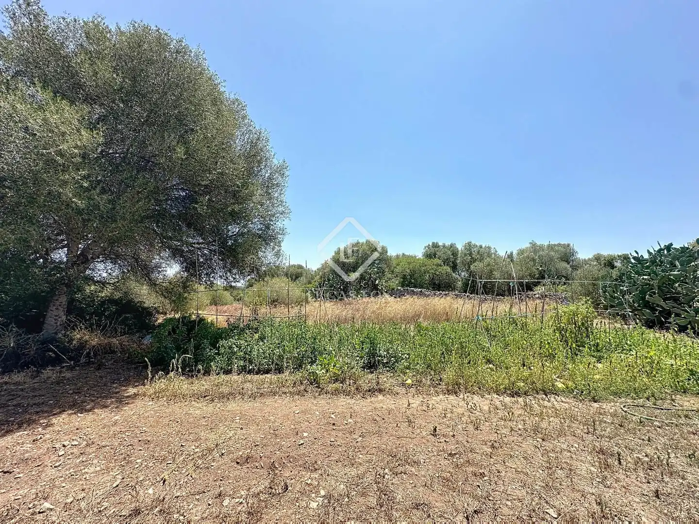 Maison rustique avec jardin à vendre à Alaior poble, imagen 9