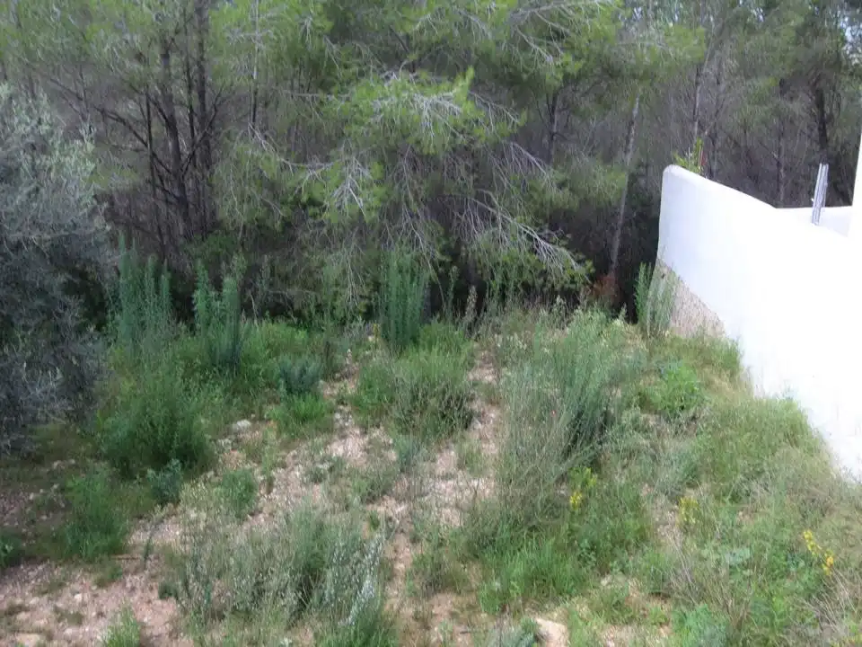 Terreny residencial en venda a Casco Urbano, imagen 4