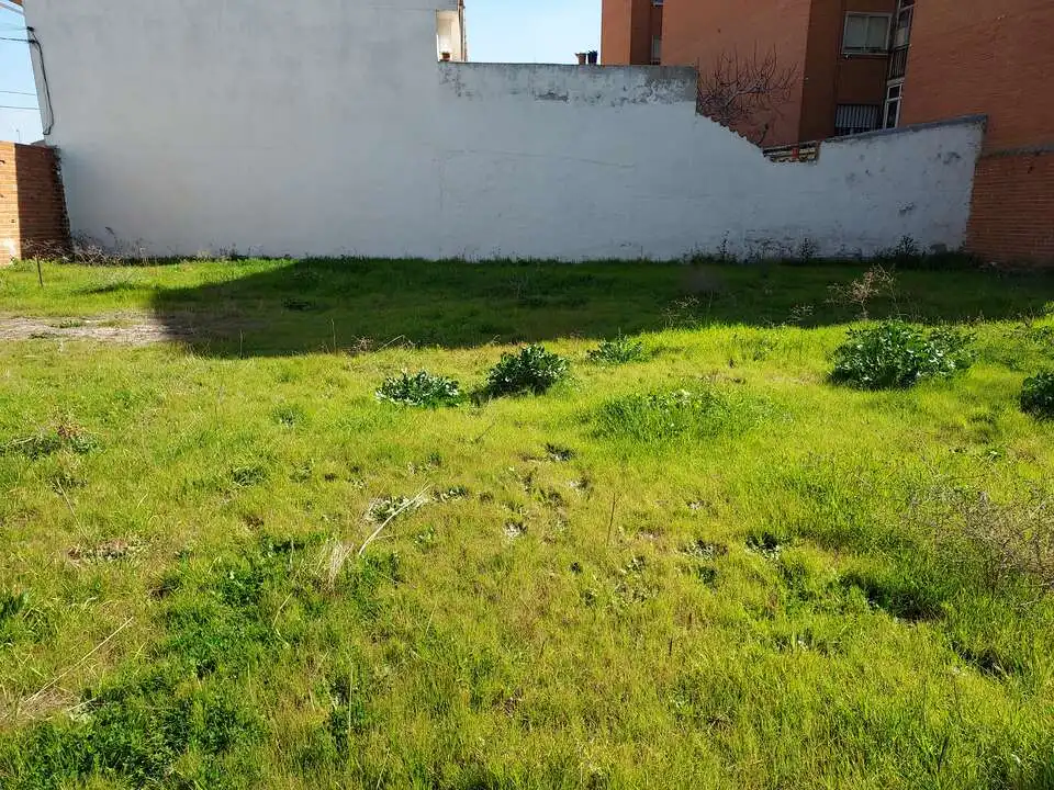 Terreni e lotti in vendita a Calle Santa Cecilia, imagen 5