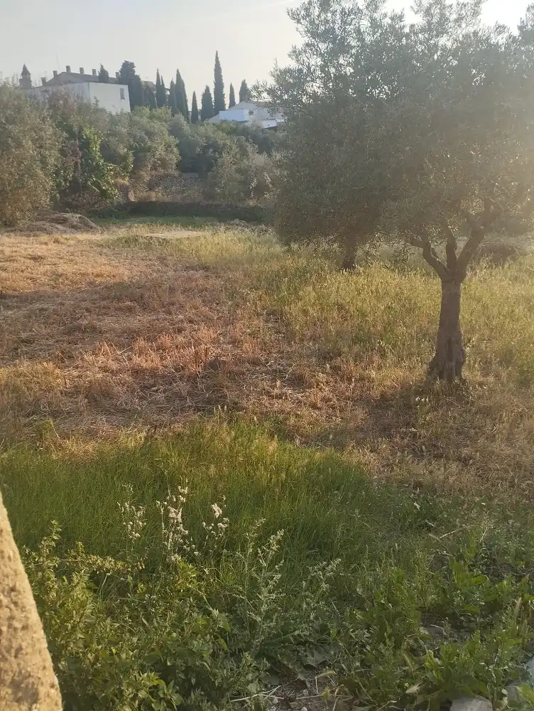Residential for sale in Garrovillas de Alconétar