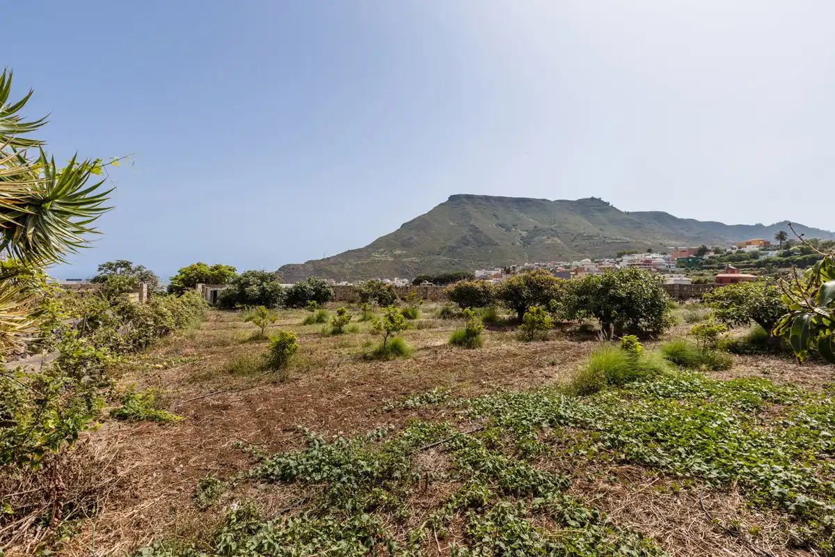 Country homes for sale in San Cristóbal de la Laguna  with Private garden, Terrace and Balcony