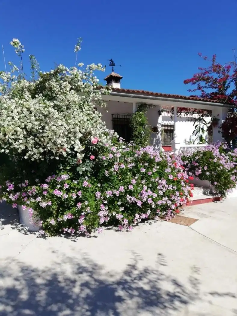 Haus mit Garten zum Verkauf in Calle el Santo 13, imagen 19