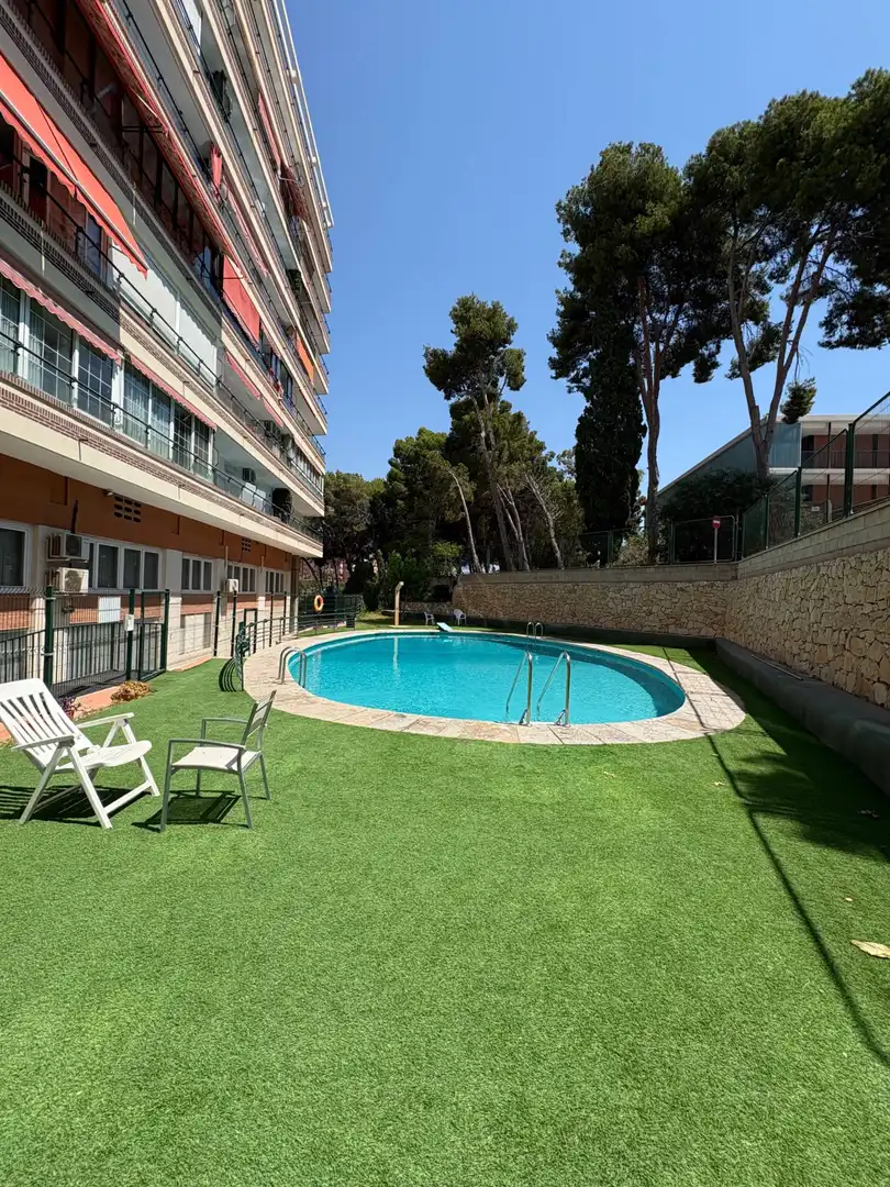 Pis amb piscina en venda a Pla - Carolinas, imagen 42