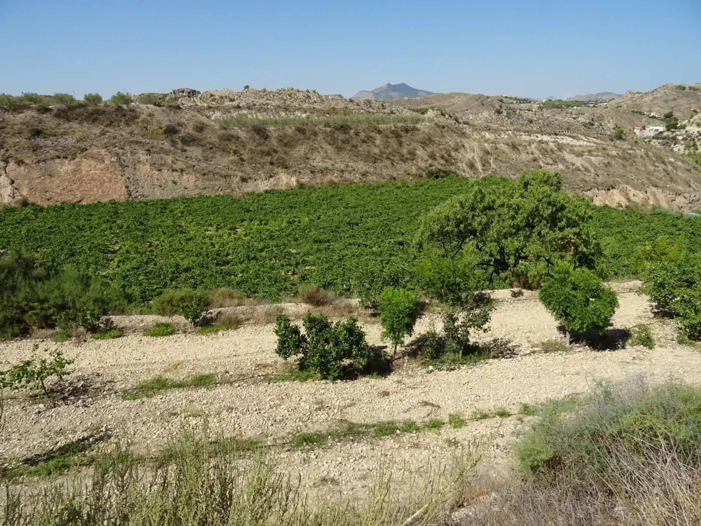 Casa o xalet en venda a Pedanías Este