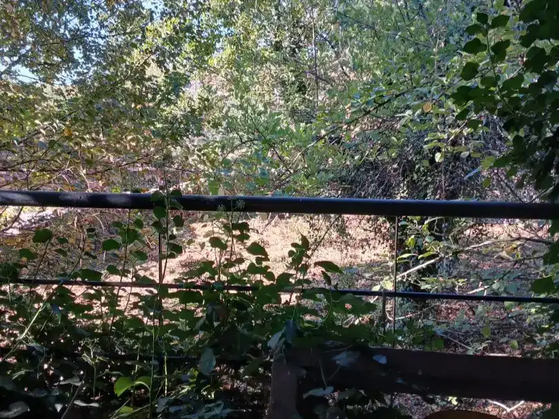 Casa o chalet en venta en Castrelo do Val con Jardín privado, Trastero y Amueblado