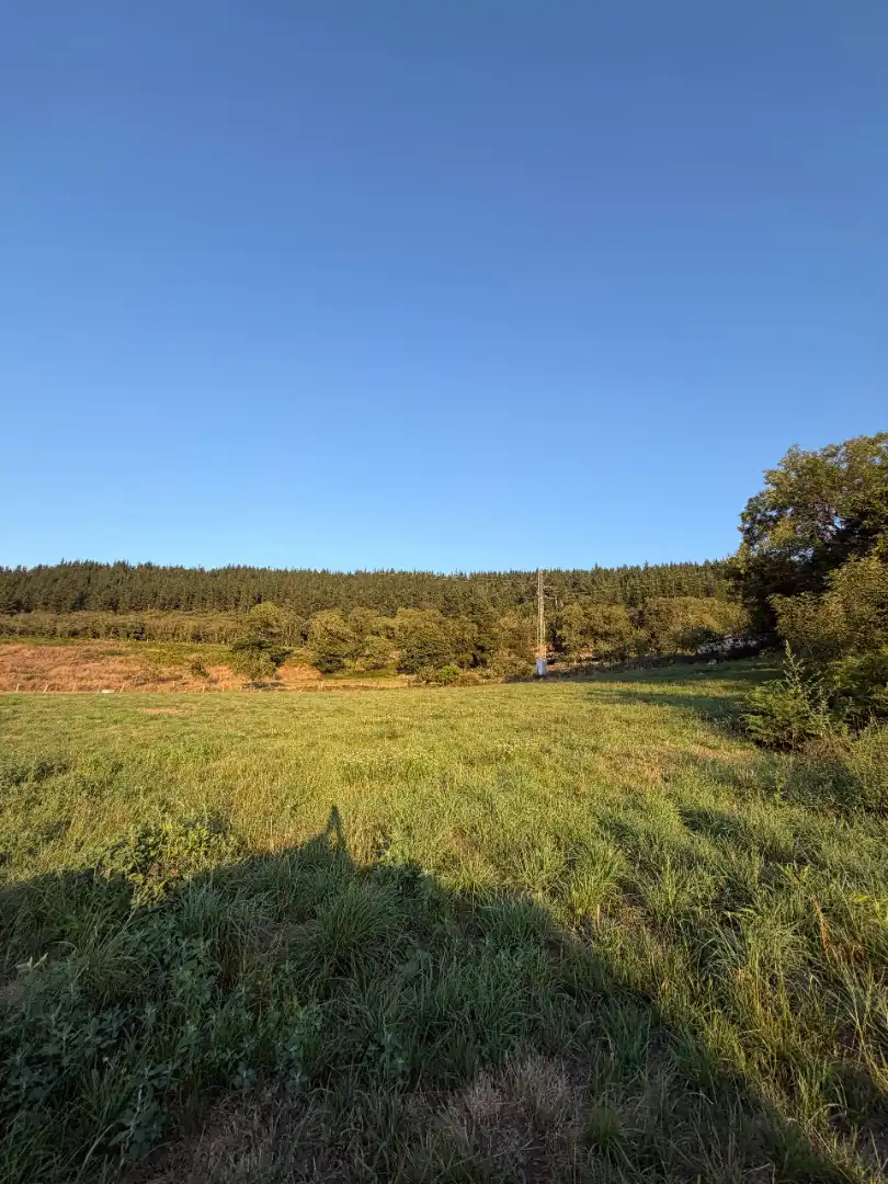 Rural land for sale in Tineo, imagen 25