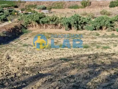 Terreno rustico in vendita a Moguer, imagen 2