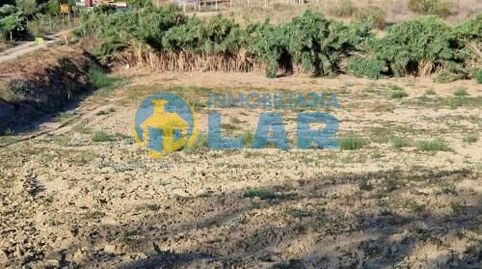 Finca Rústica entre Moguer y Palos, immagine 2