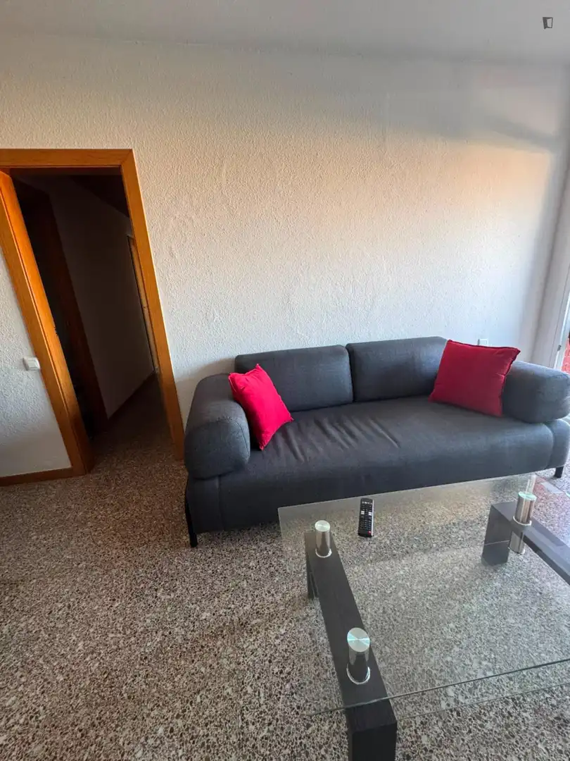 Sala de estar de Apartamento para compartir en Sant Andreu