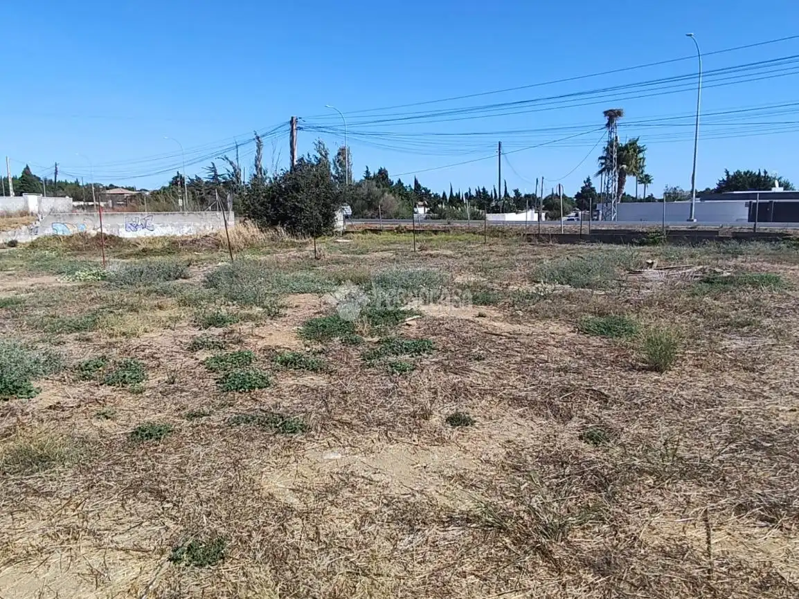 Terreno rústico en venta en Pelagatos - Pago del Humo, imagen 17
