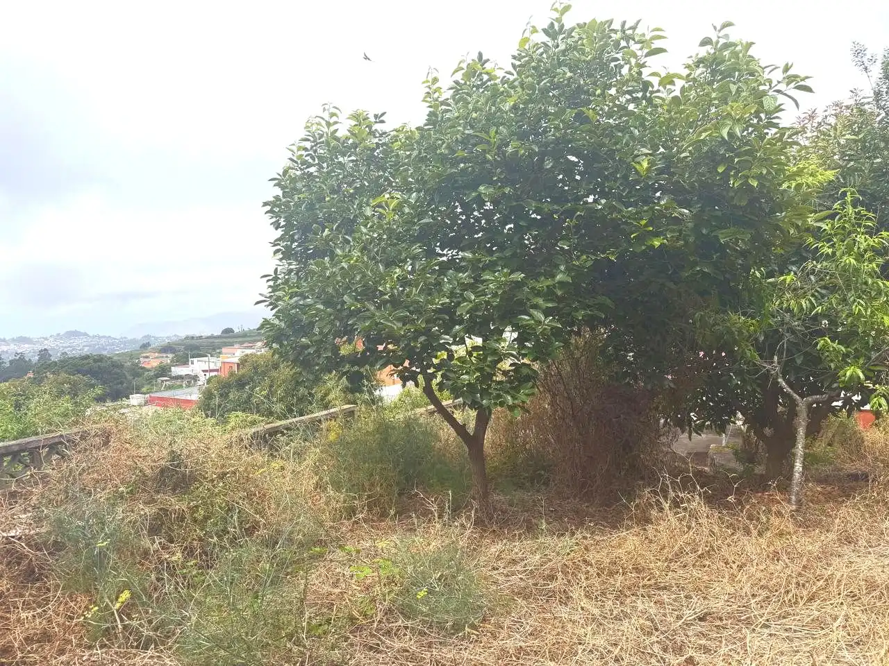 Casa o xalet en venda en Tacoronte amb Jardí privat, Terrassa i Traster