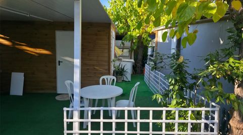 Foto 2 de Finca rústica en venda a Camí de la Pomereda, 20, Malgrat de Mar, Barcelona