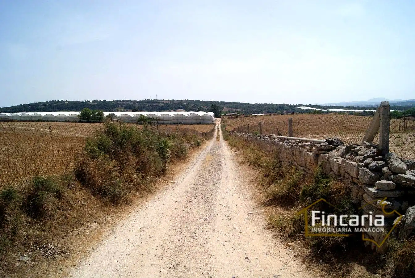 Terrenys i solars en venda a Camí de sa Murtera, imagen 26