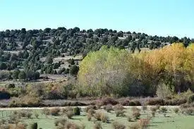 Terreni e lotti in vendita a Prádena, imagen 20