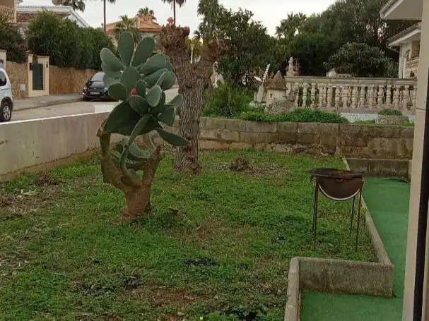 Villa con giardino in affitto a CARRER ARGENTINA 78, imagen 15