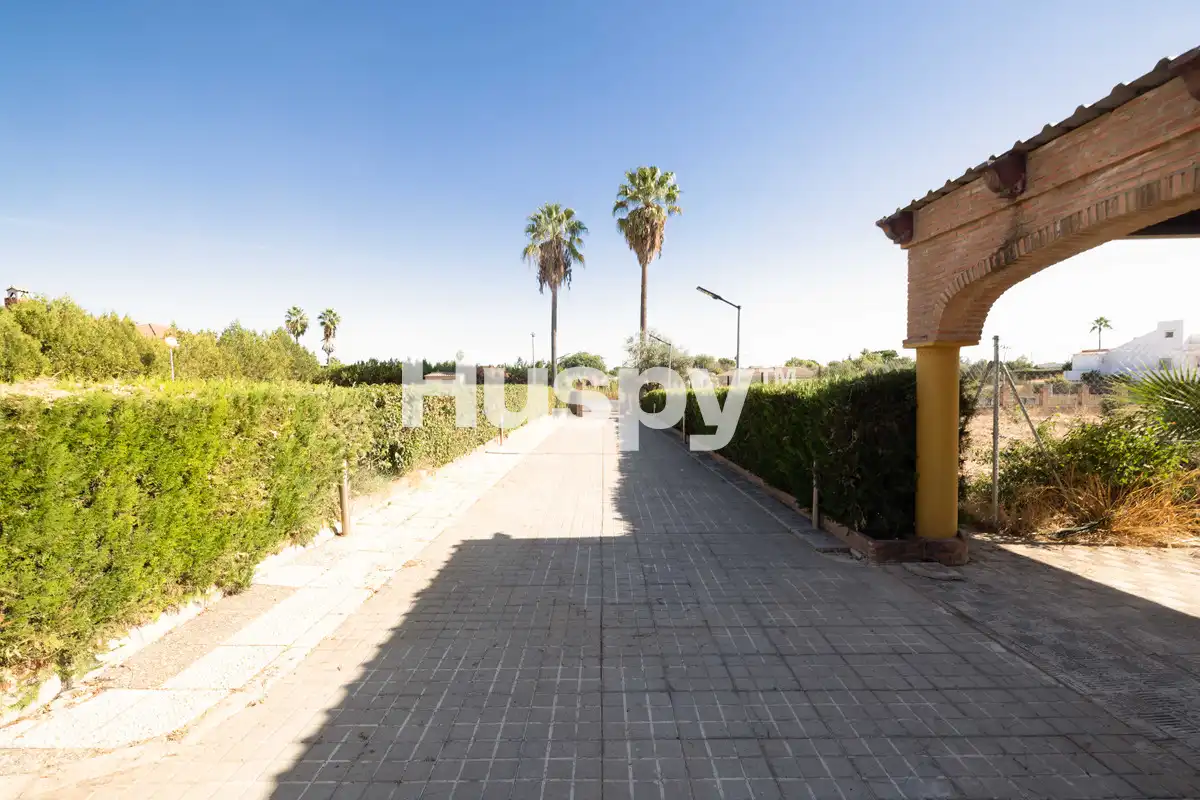 Chalet con terraza en venta en Calle Carlos Cano, imagen 47