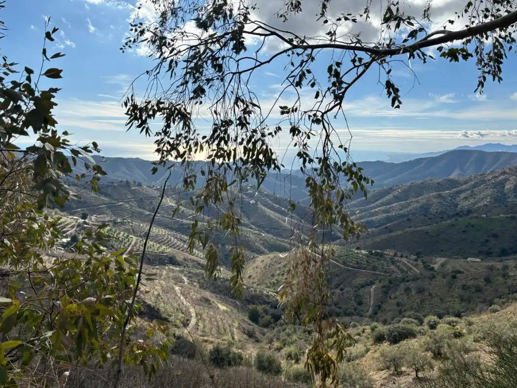 Terreni e lotti in vendita a Cam. Altos de Jaboneros, imagen 18