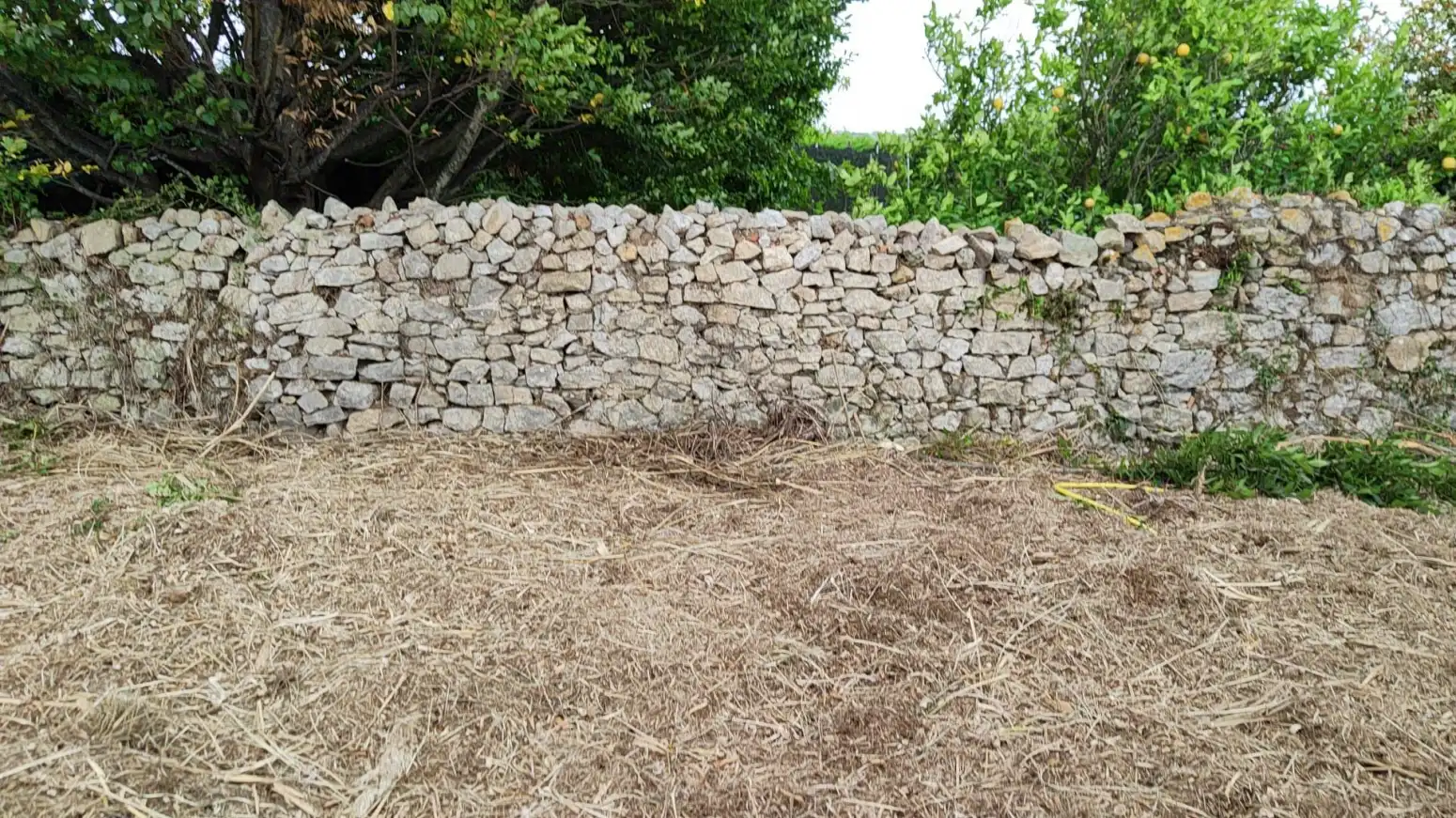 Terreni e lotti in vendita a Heras - Santiago -San Salvador, imagen 3