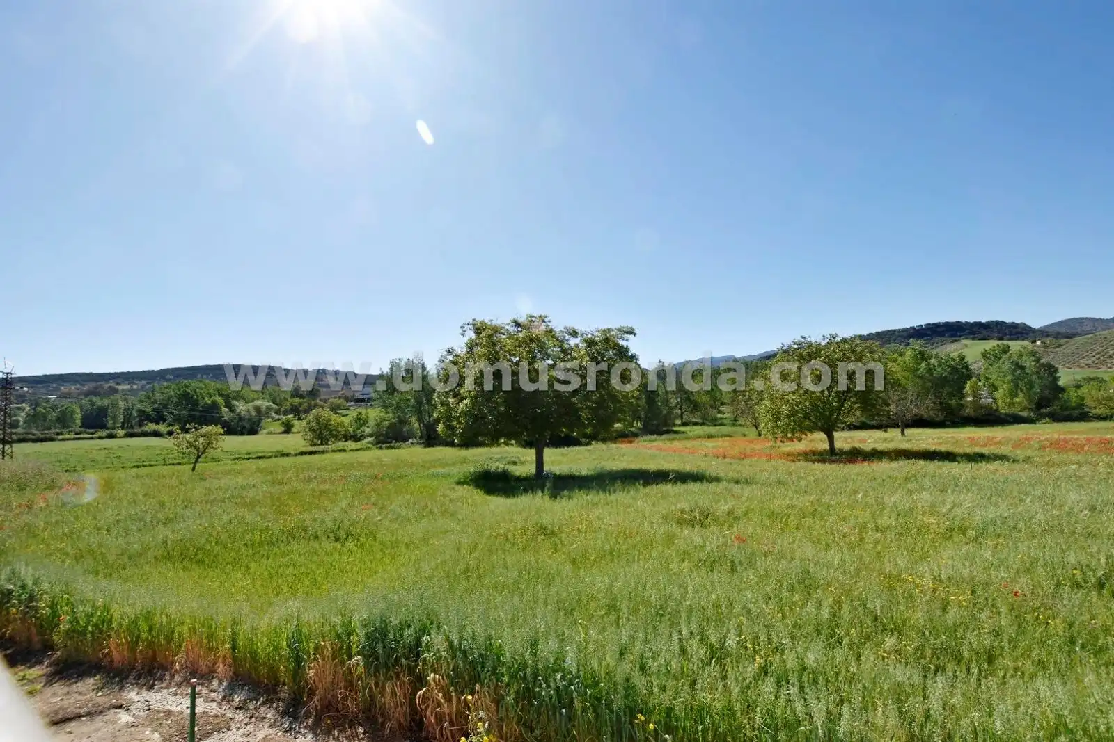 Casa rústica con piscina en venta en Partidas Norte, imagen 7