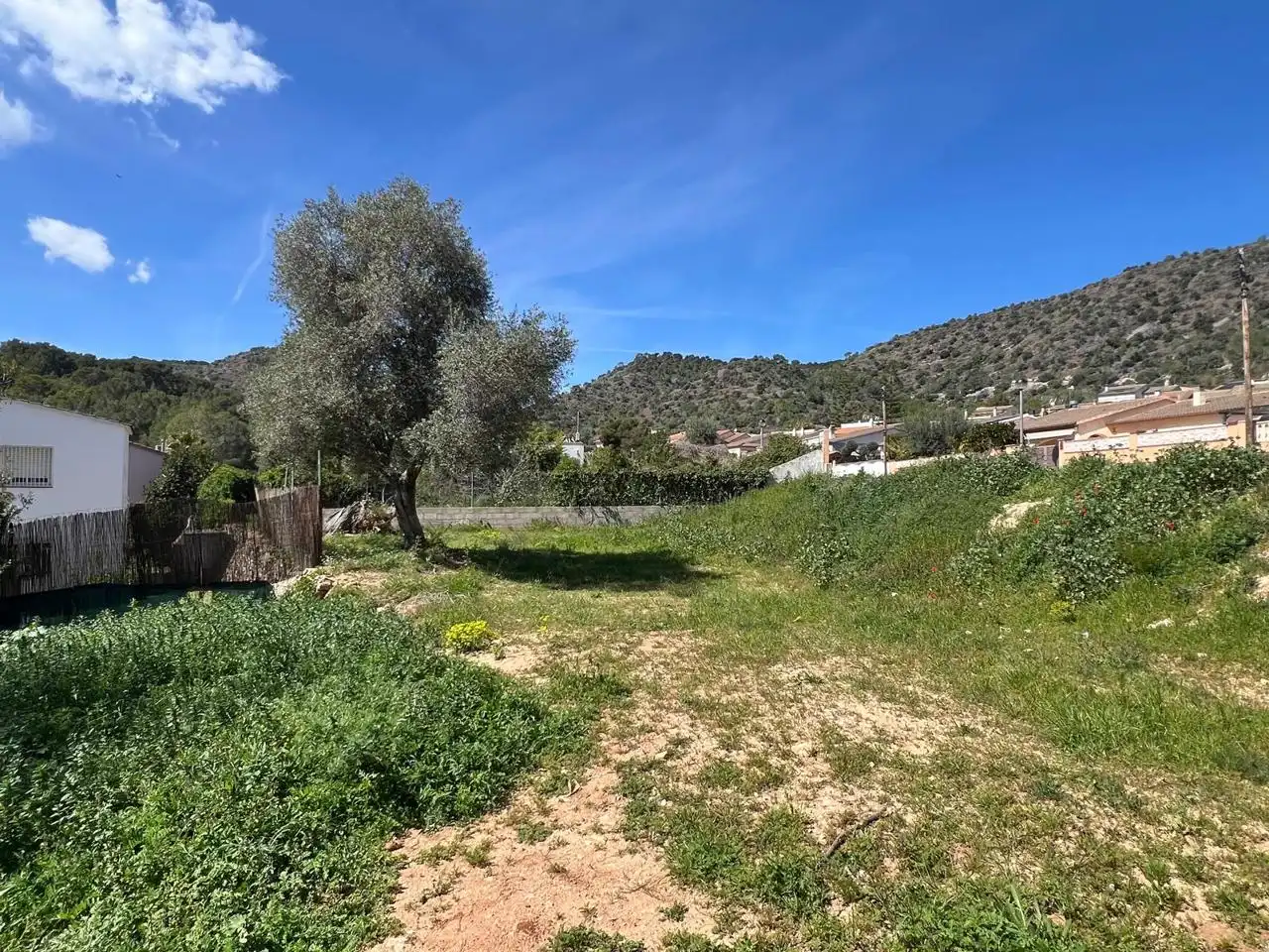 Terrenos y solares en venta en Nou Vendrell, imagen 6