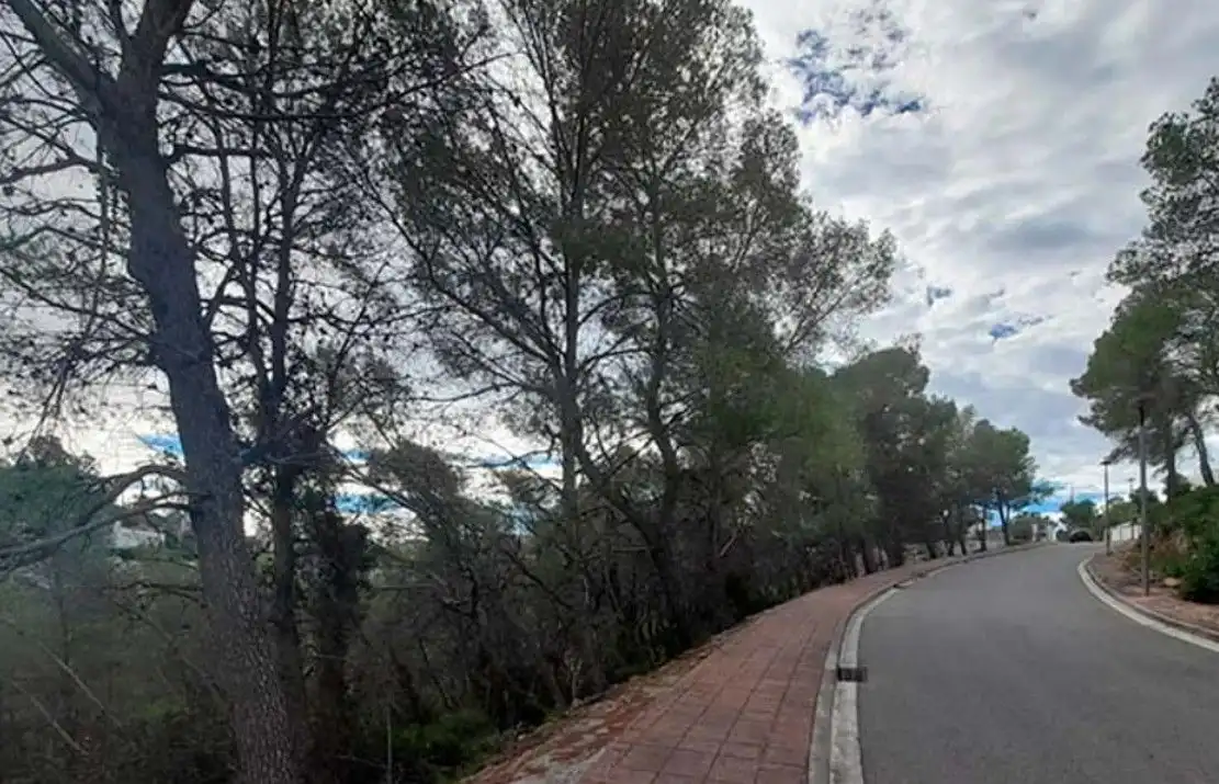 Lands and plots for sale in miranda 38, imagen 13