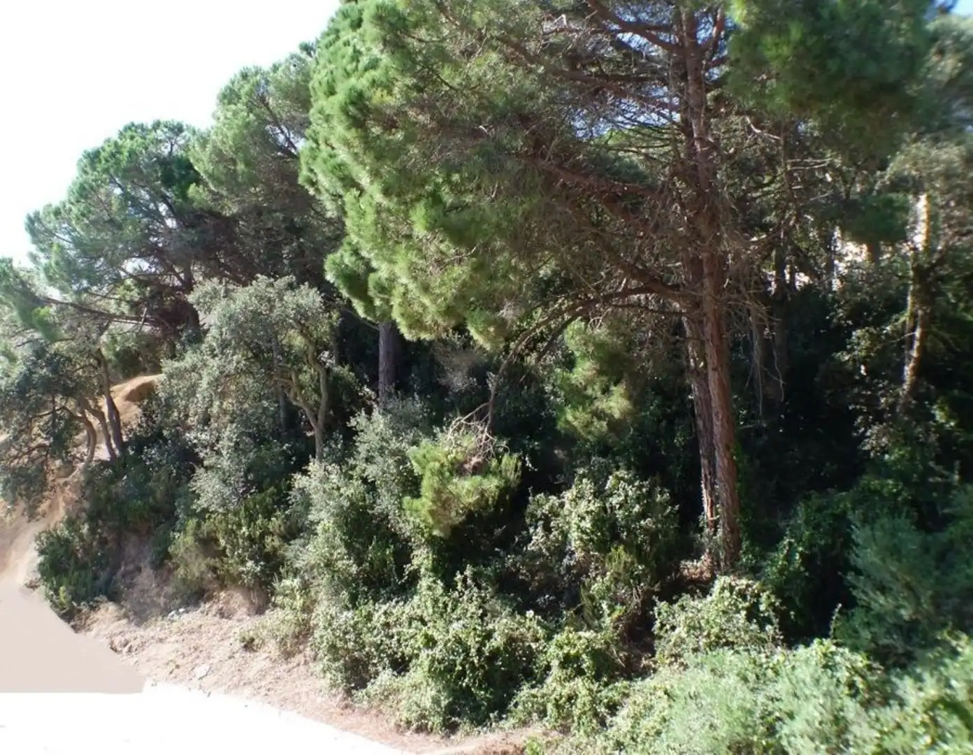 Grundstücke und Bauplätze zum Verkauf in Serra Brava, imagen 3