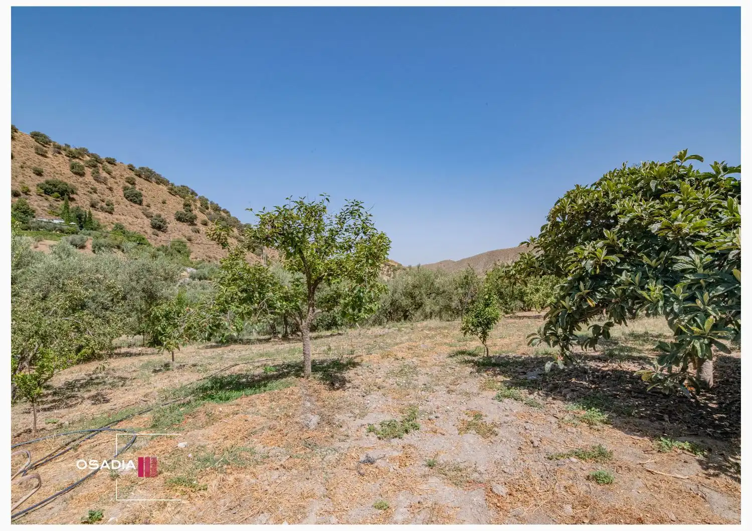 Detached house with pool for sale in EM EXTRARRADIO, imagen 38