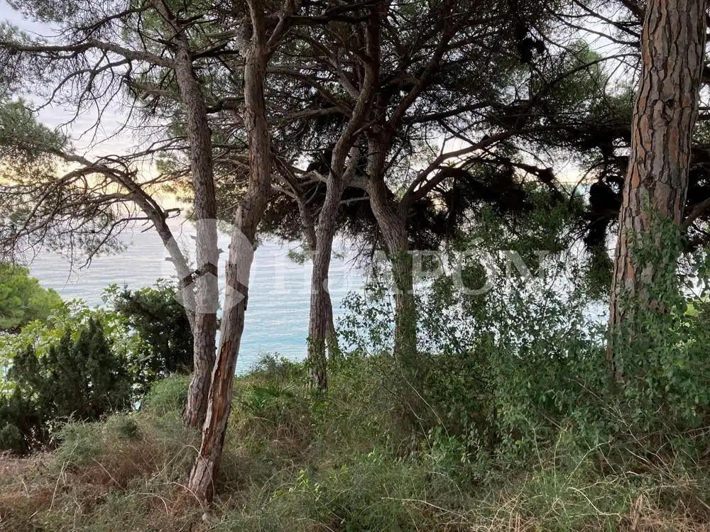 Terreno residenziale in vendita a Victoria - Les Vil·les - Canyadell, imagen 3