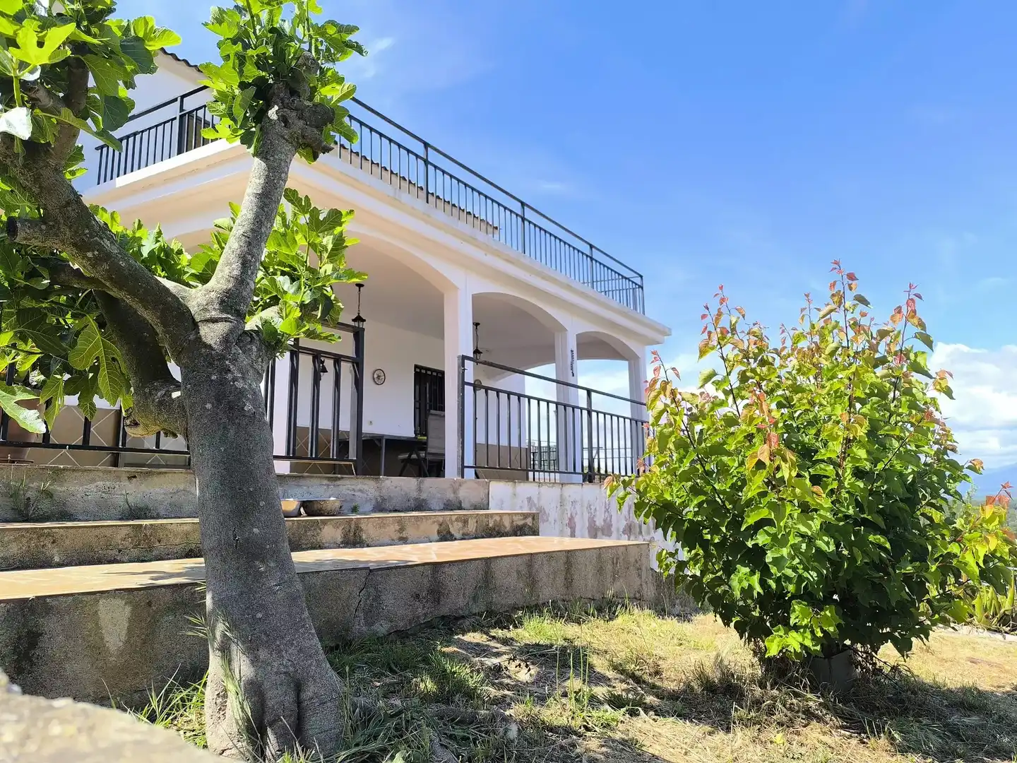 Vista exterior de Casa o xalet en venda en Maçanet de la Selva amb Terrassa, Traster i Piscina