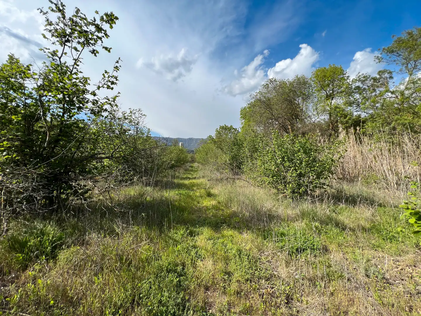 Rural land for sale in Cornudella de Montsant, imagen 6