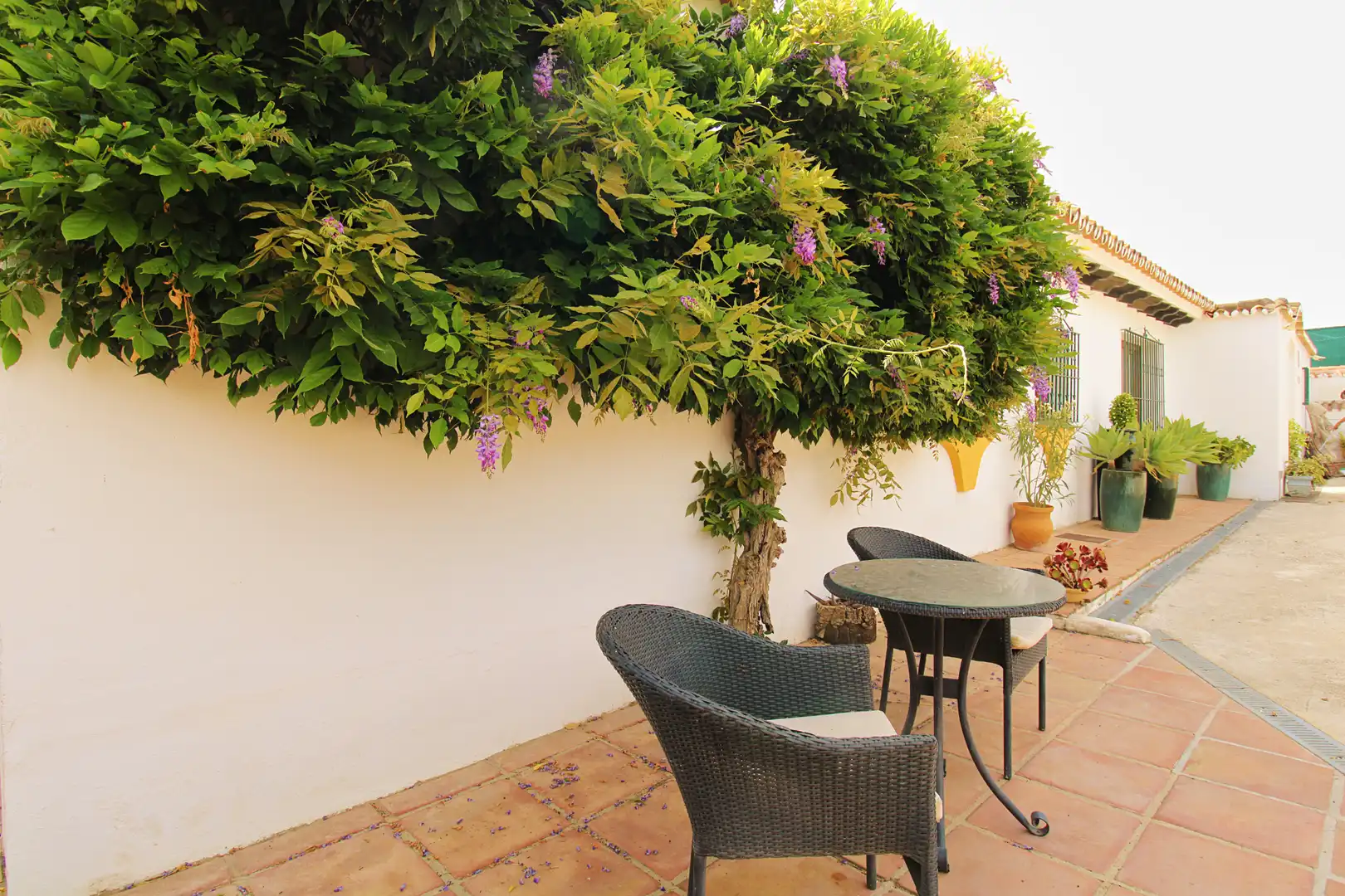 Terraza de Finca rústica en venta en Mijas con Aire acondicionado, Calefacción y Jardín privado