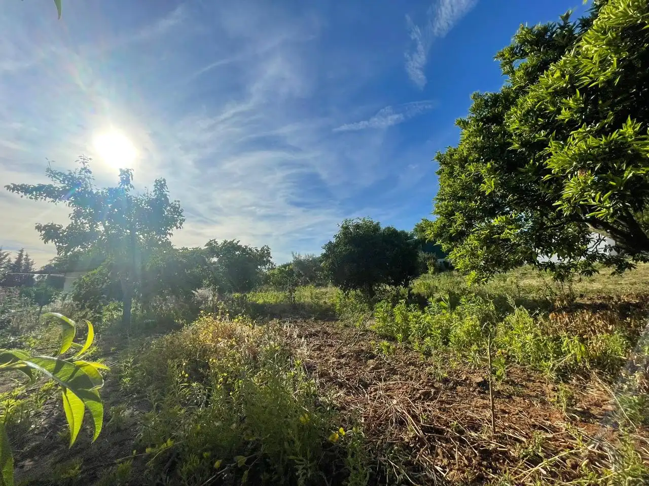 Terreni e lotti in vendita a La Puebla del Río