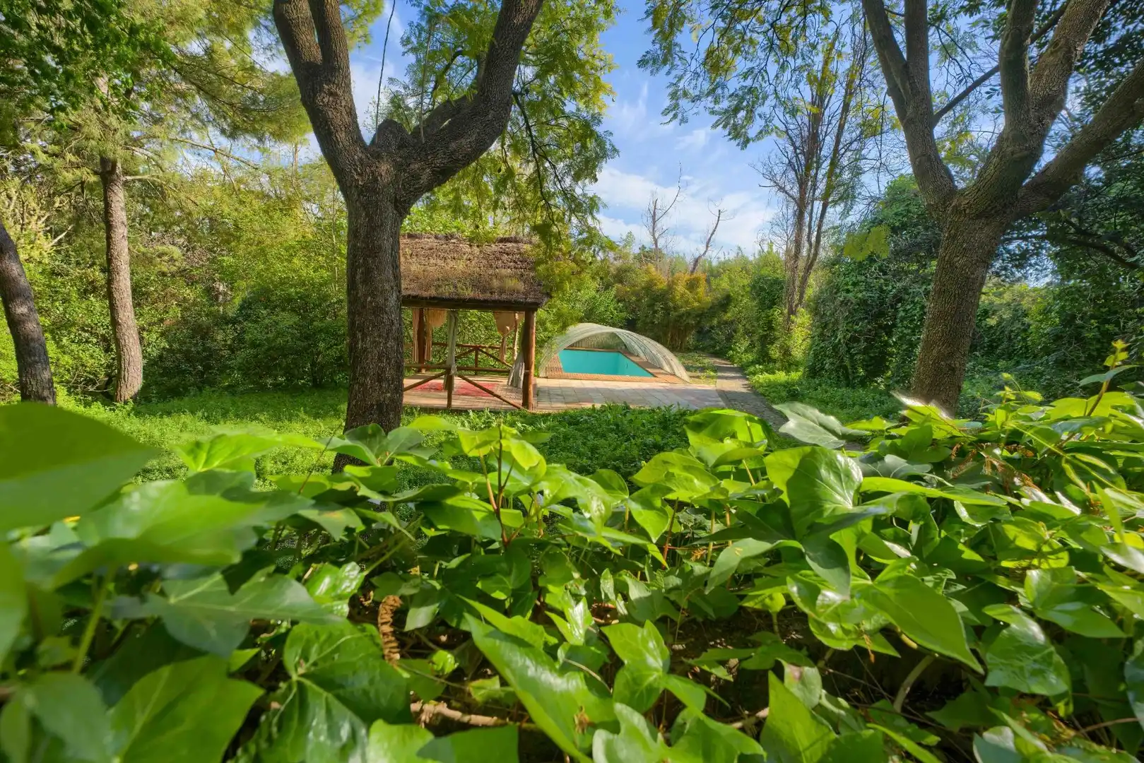 Jardí de Casa o xalet en venda en Sanlúcar la Mayor amb Aire condicionat, Jardí privat i Terrassa