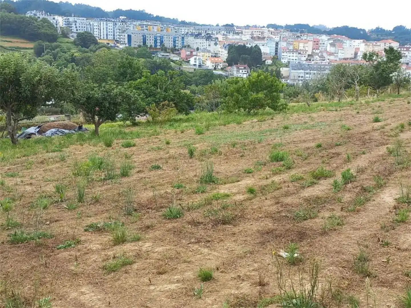 Grundstücke zur Miete in Betanzos
