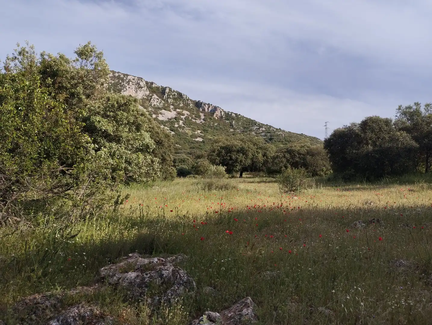 Terreno rustico in vendita a Calle Doña Mencía, imagen 11