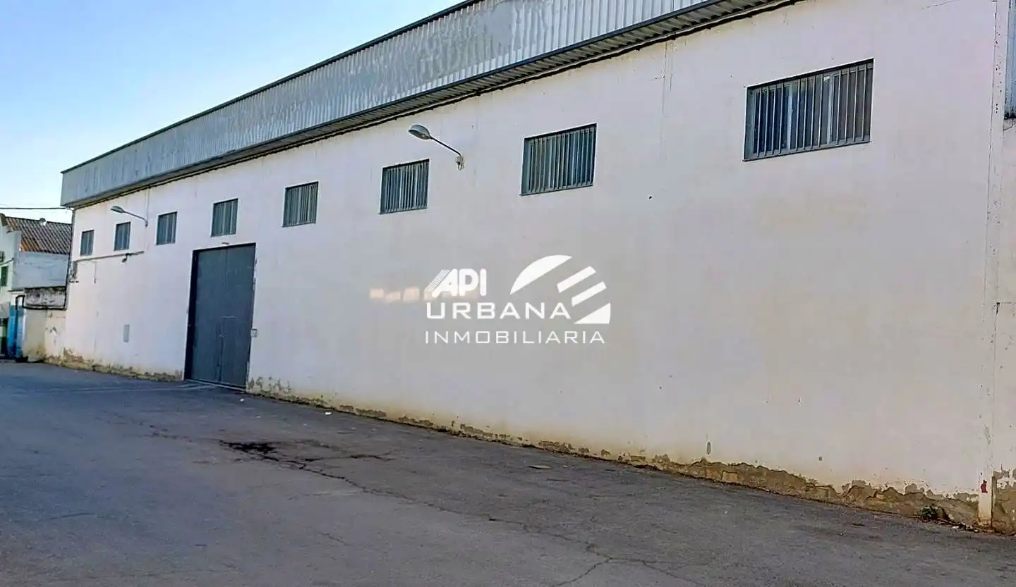 Industrial building for sale in Ferrocarril, imagen 5