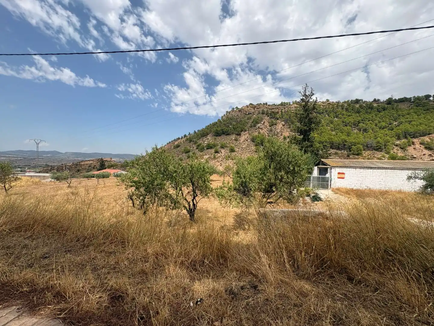 Terrenos y solares en venta en Pliego, imagen 4