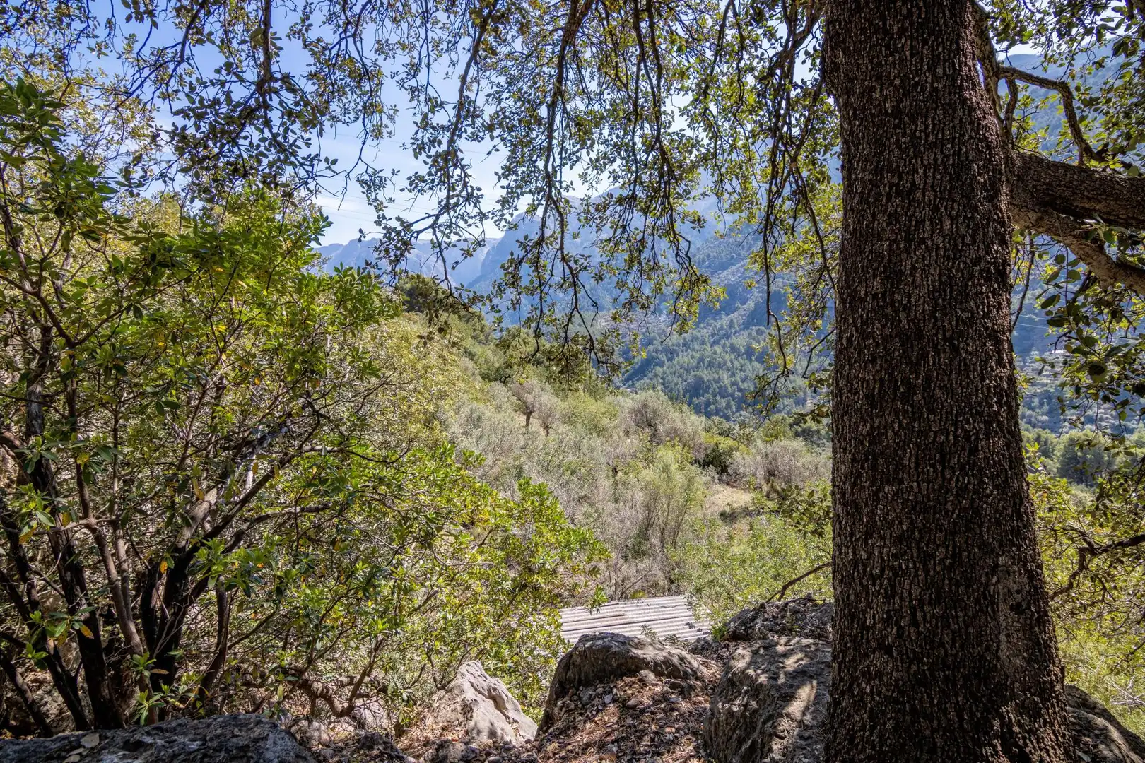 Vista exterior de Terreno en venta en Sóller