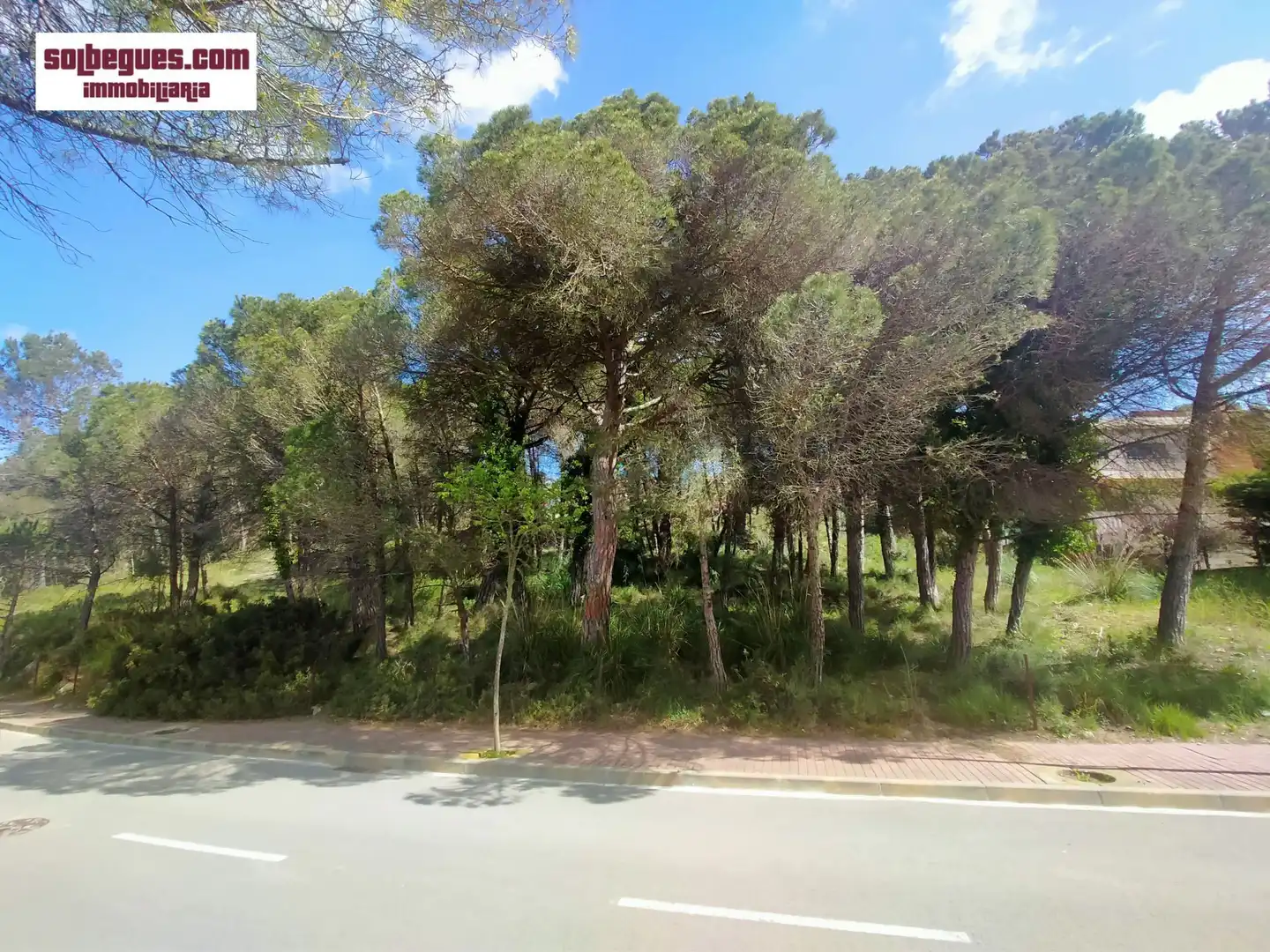 Terrenys i solars en venda a Begues, imagen 5